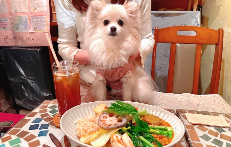 スペシャルカレー