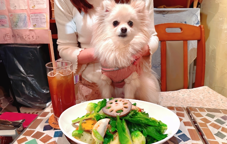 野菜だらけのパスタ