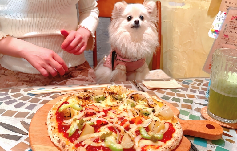 ピザ