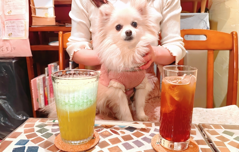 ドリンク