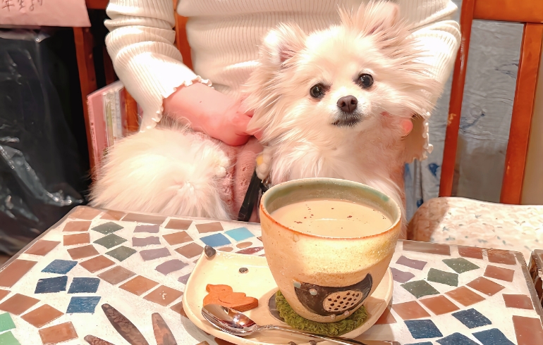 さつま芋のチャイとゆめちゃん