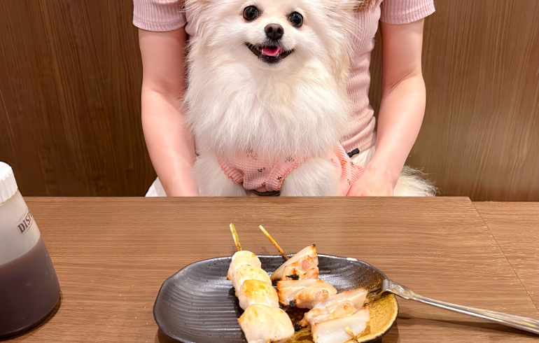 ワンちゃん用にしていただい串焼き（味付けなし）とゆめちゃん