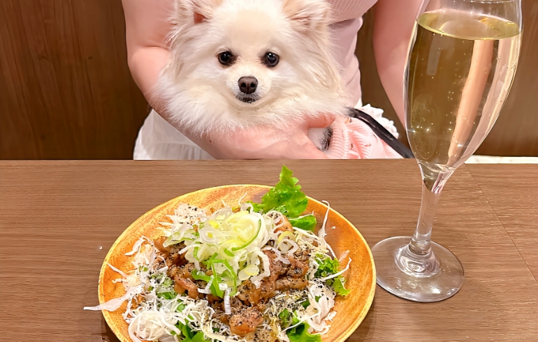 せせり柚子胡椒ポン酢