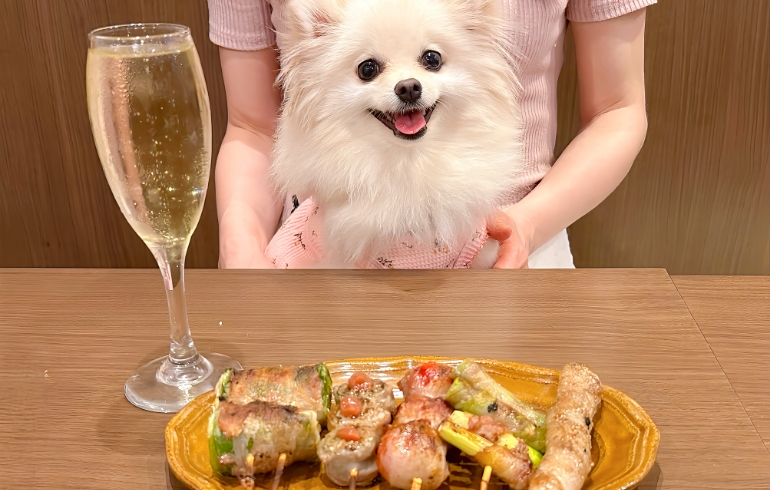 野菜豚巻き串とゆめちゃん