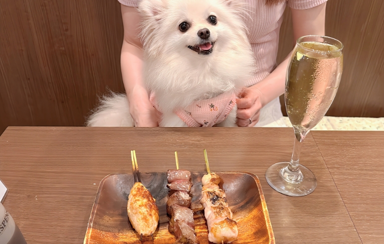 地鶏串焼き（とりもも・白レバー・自家製名物つくね）