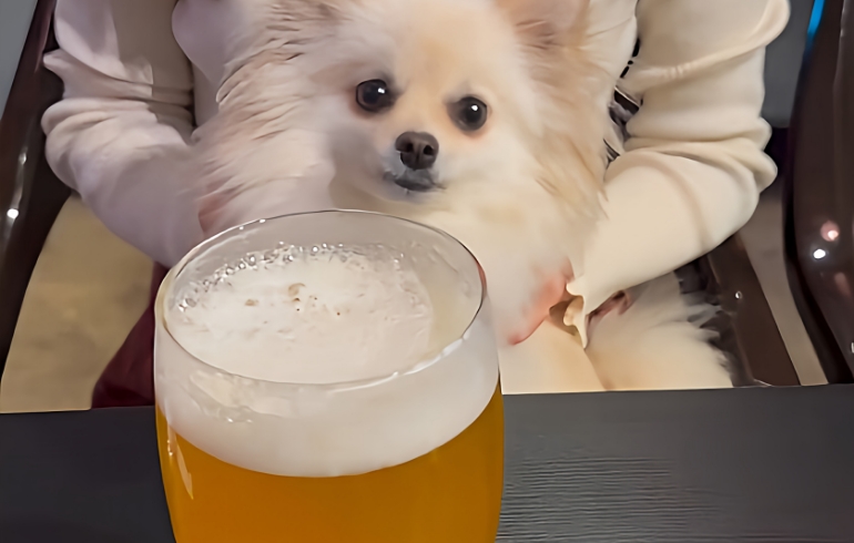 マルイ飯店