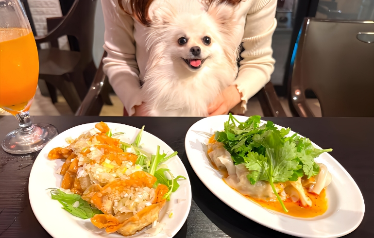 マルイ飯店