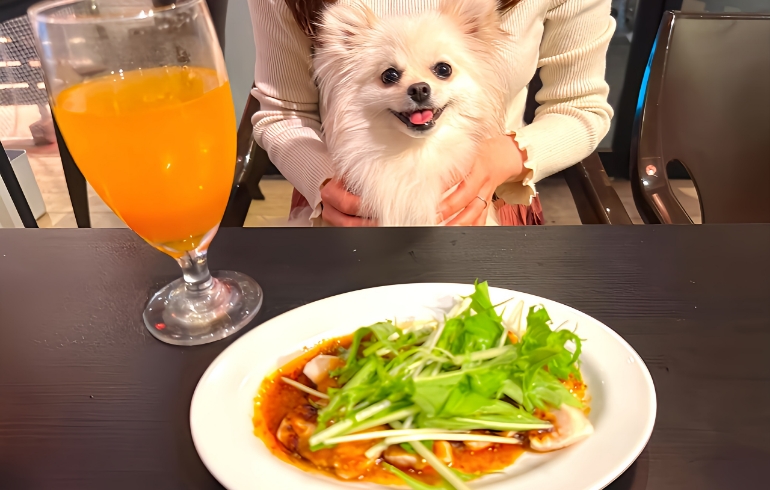 マルイ飯店