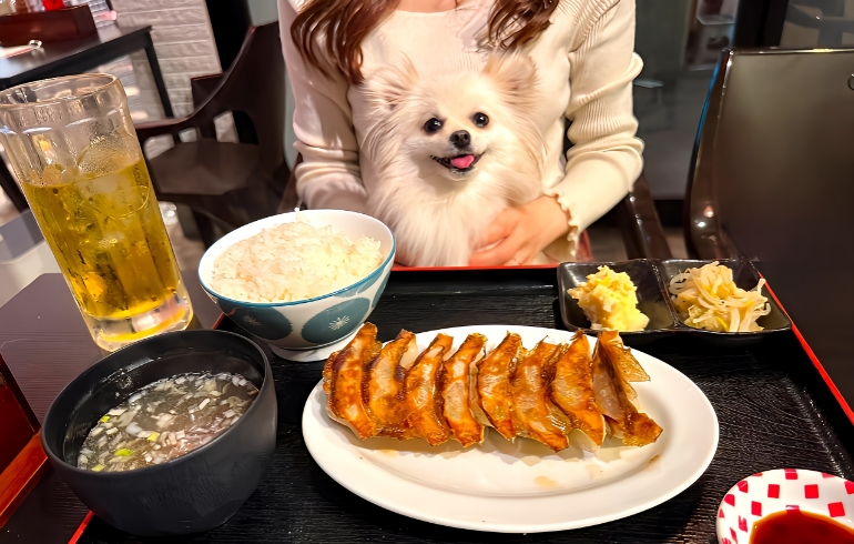 「マルイ飯店」のメイン画像です。