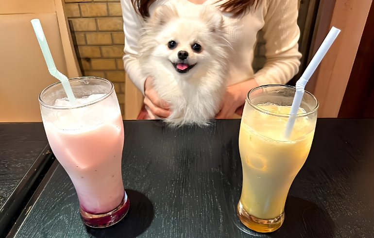 ラッシー