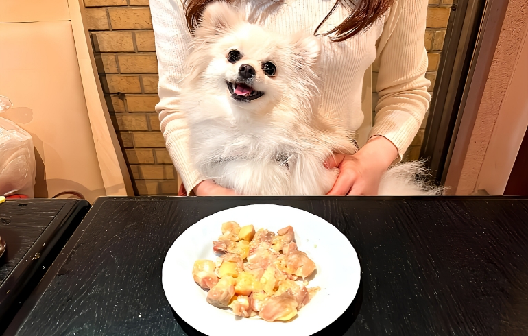 わんちゃん用のご飯