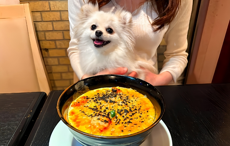 カレードリア