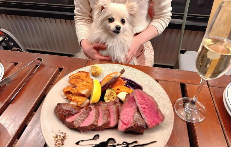 「MEAT BAR GIRASOL（ミート バル ヒラソル）」のメイン画像です。