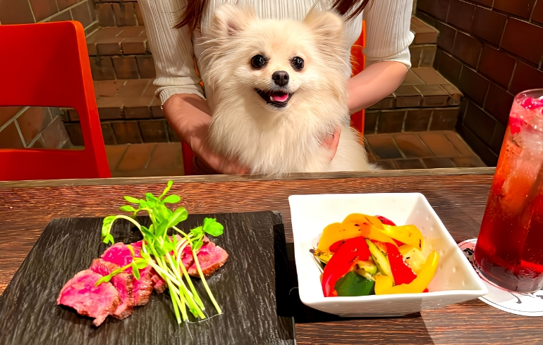 ワンちゃん用のご飯