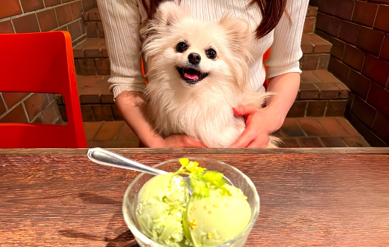 ピスタチオアイス2