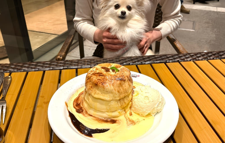 パンケーキ