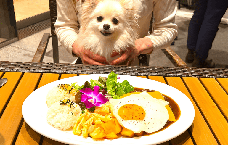 ロコモコ