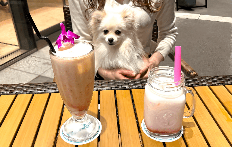 ドリンク