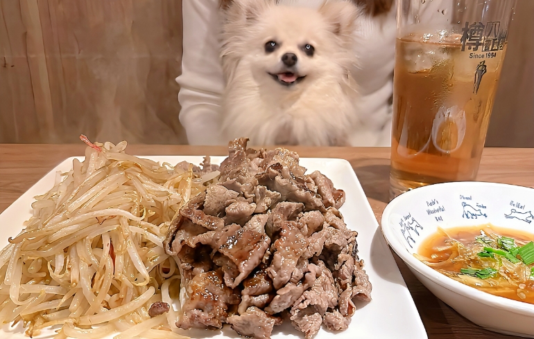 チャドルペギィ（焼き後）とゆめちゃん