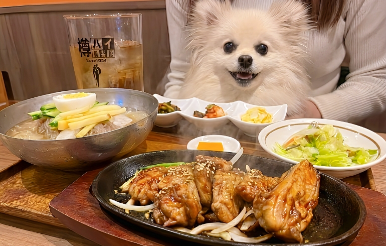 お得なランチとゆめちゃん