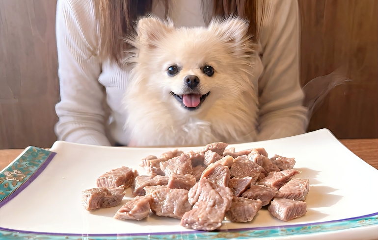 犬用メニュー