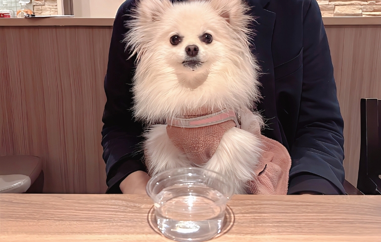 お水サービス