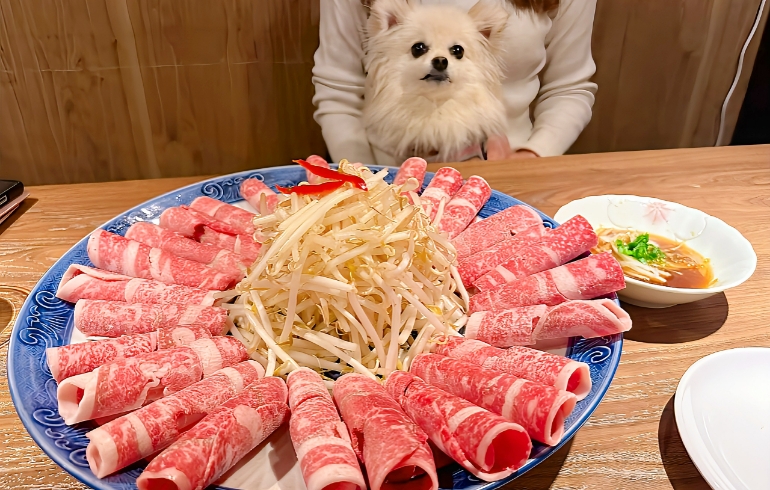 チャドルペギィとゆめちゃん
