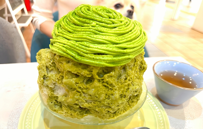 かき氷（茶モンブラン）