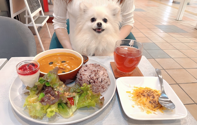 自家製バターチキンカレー
