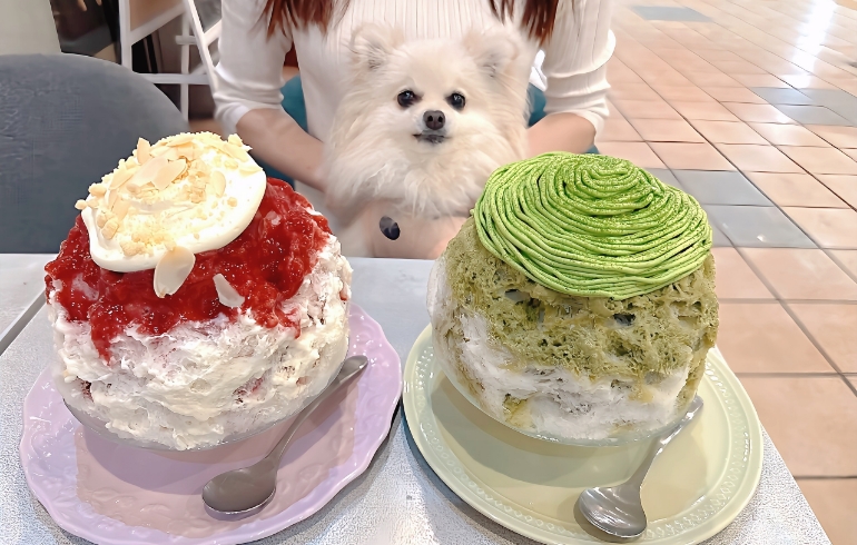 「Muffin & Bowls cafe CUPS（マフィン＆ボウルズカフェ カップス）」のメイン画像です。