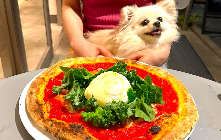 「Nature／Pizza TOSCANA 学芸大学」のメイン画像です。