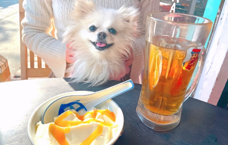 杏仁豆腐