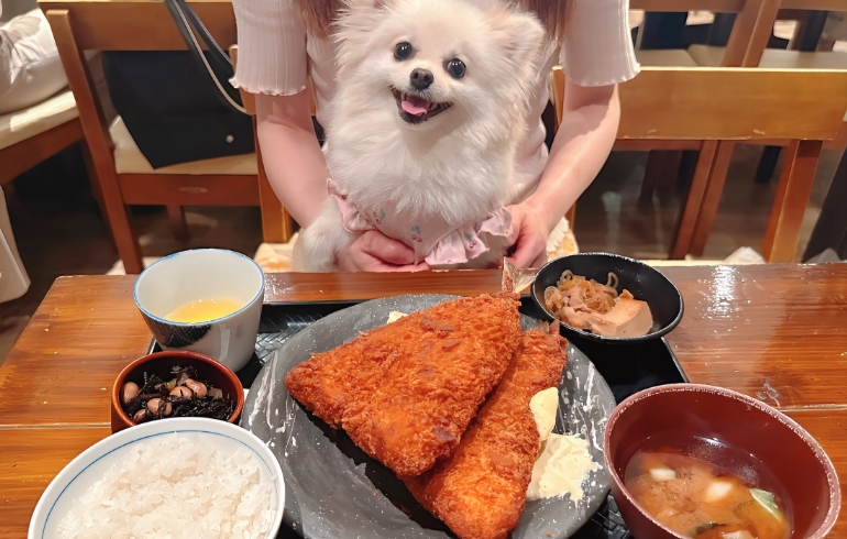 アジフライ定食