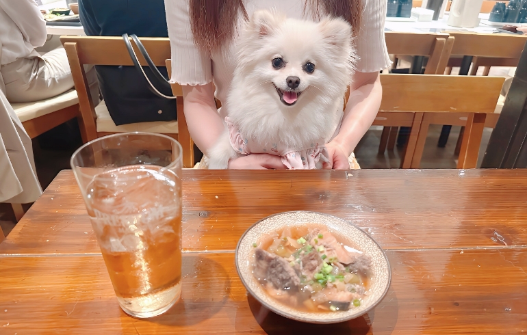 あら炊きとゆめちゃん