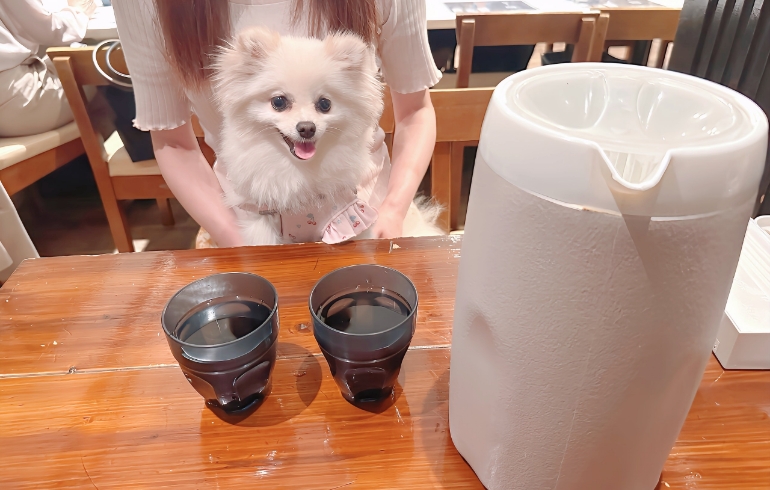 お水がは入ったポット