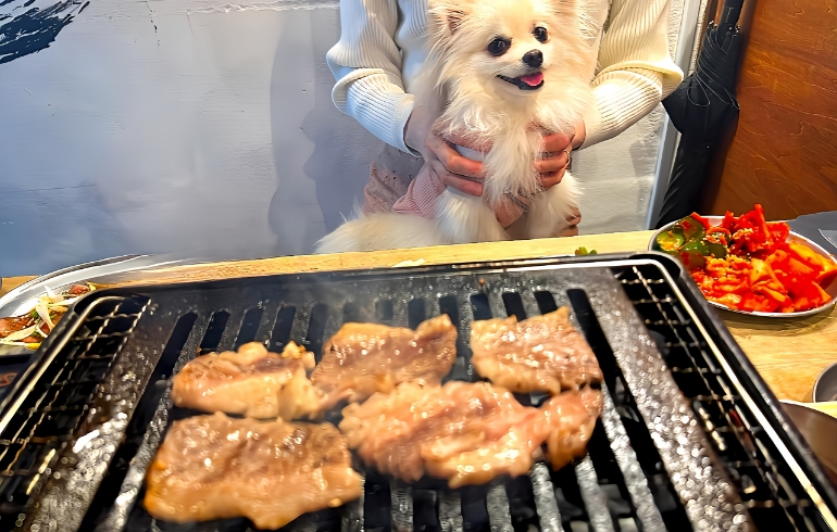 はみでるカルビ5