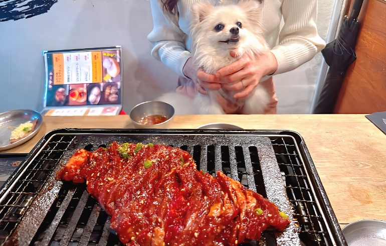 はみ出たいハラミ1