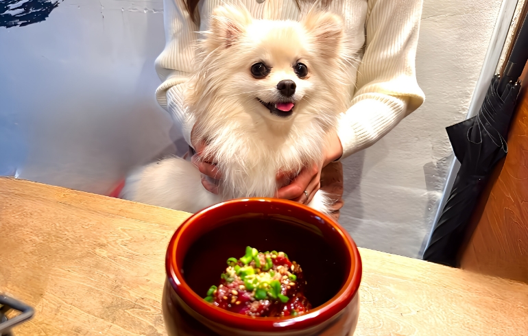はみ出たいハラミ2
