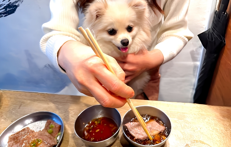 名物ふたごのポン酢たれ