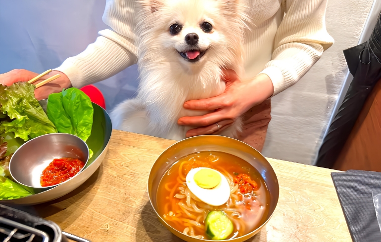 冷麺