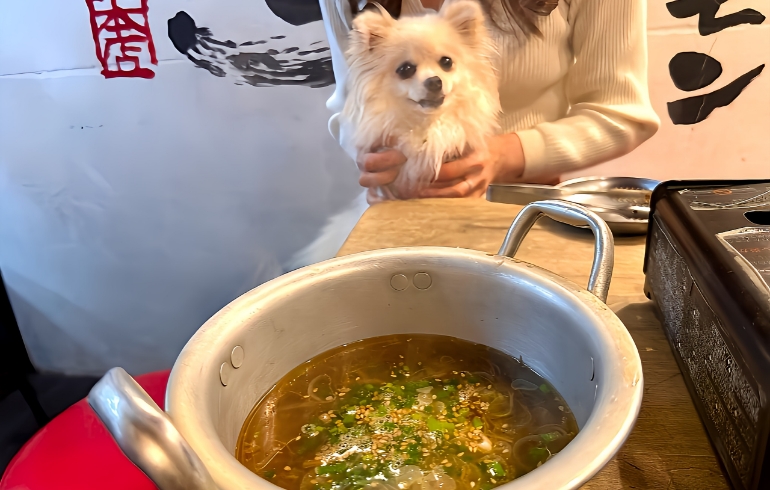 テールスープ1