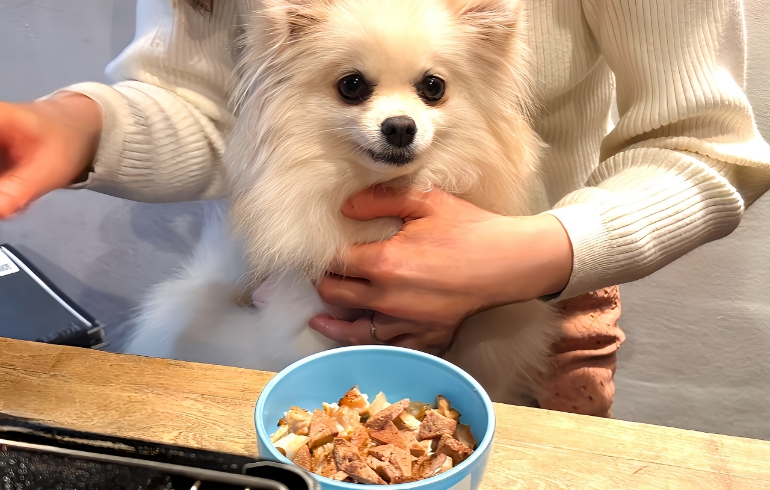 ワンちゃん用焼肉2