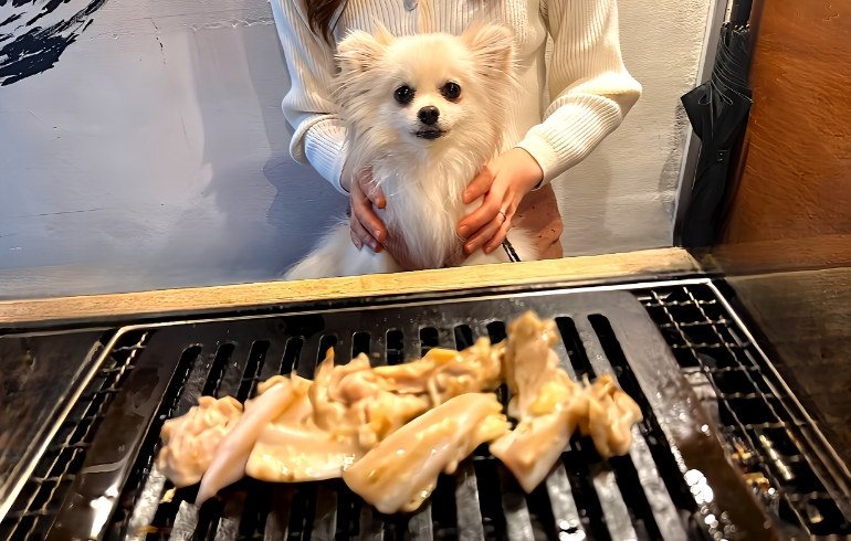 ワンちゃん用焼肉3
