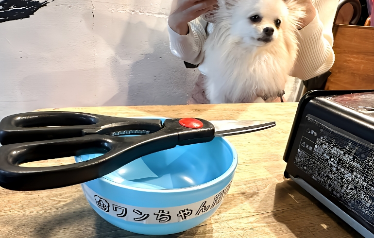 ワンちゃん用カットはさみ