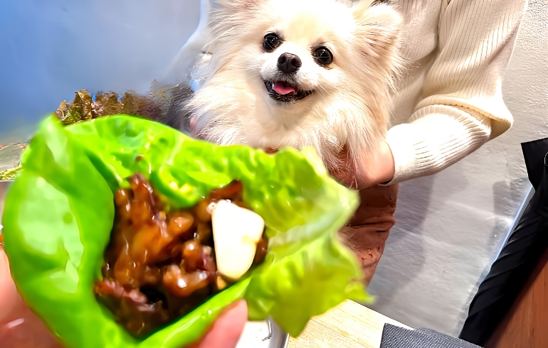 サンチュお肉巻き