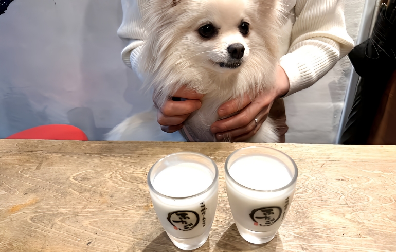 飲むヨーグルト