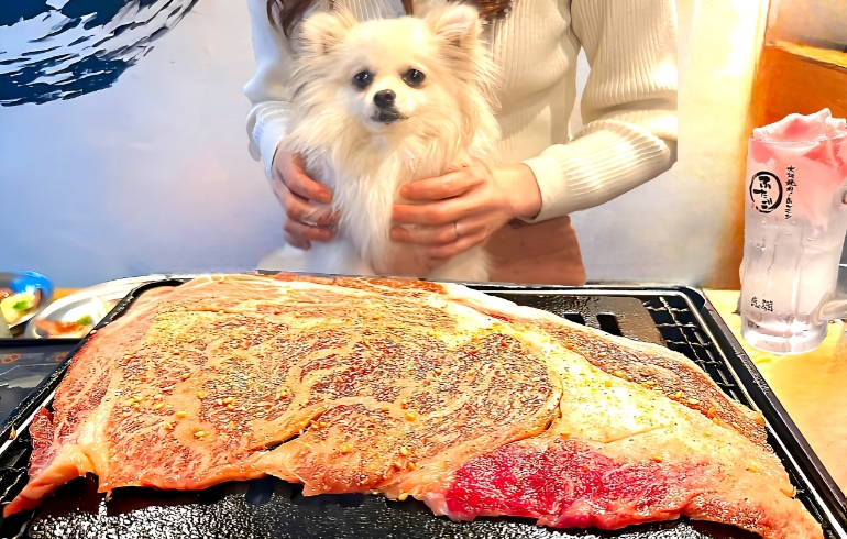 はみでるカルビ1