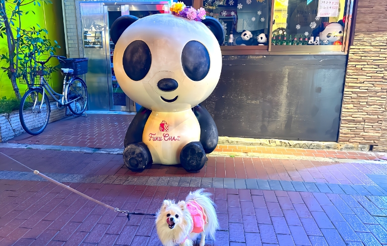 店頭の可愛いパンダが目印