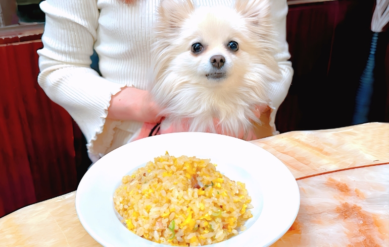 チャーハン