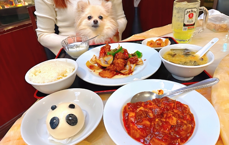 「熊猫飯店（パンダハンテン）」のメイン画像です。